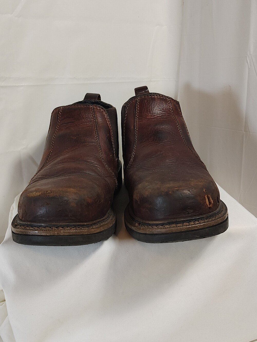 Red wing Irish setter83300